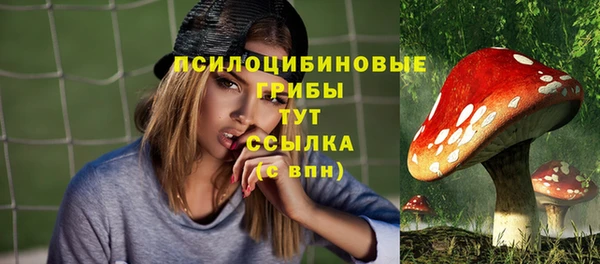 стаф Белоозёрский