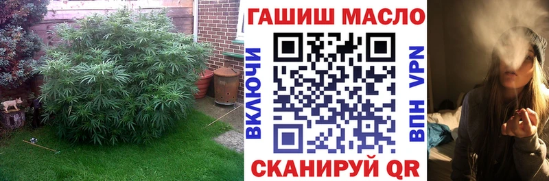 ТГК концентрат  Купить  Спас-Клепики 