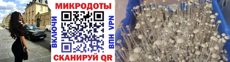 Купить где  Спас-Клепики  Галлюциногенные грибы мицелий 